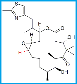 EPOTHILONE A / 12-DESMETHYL EPOTHILONE B